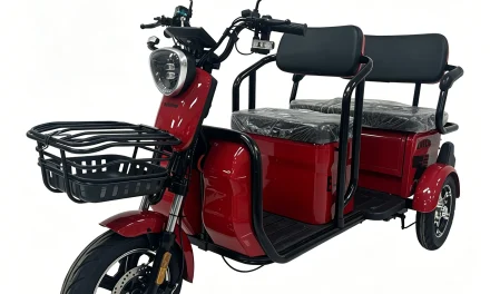 RACCEWAY E-BUS: 5 érv a 3-kerekű elektromos trike mellett