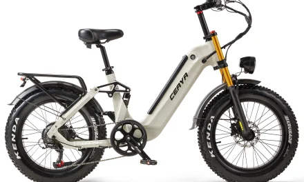 A Ceaya A20 PRO e-bike: Erős társ a kutyulaborban