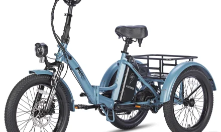 5 ok, amiért érdemes FAFREES F20 MATE elektromos háromkerekűt venni