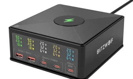 BlitzWolf 868H 160W 5 portos USB PD asztali töltő a kutyulaborban
