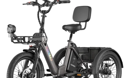 5 ok amiért a FAFREES F20 Mate II elektromos háromkerekű a tökéletes választás számodra
