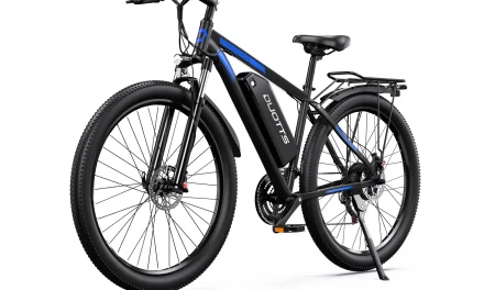 DUOTTS C29M elektromos kerékpár 750W motorral és 48V 15Ah akkumulátorral a kutyulaboron
