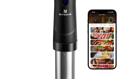 BlitzHome SV2209 Sous Vide okos főző pénztárcabarát megoldás